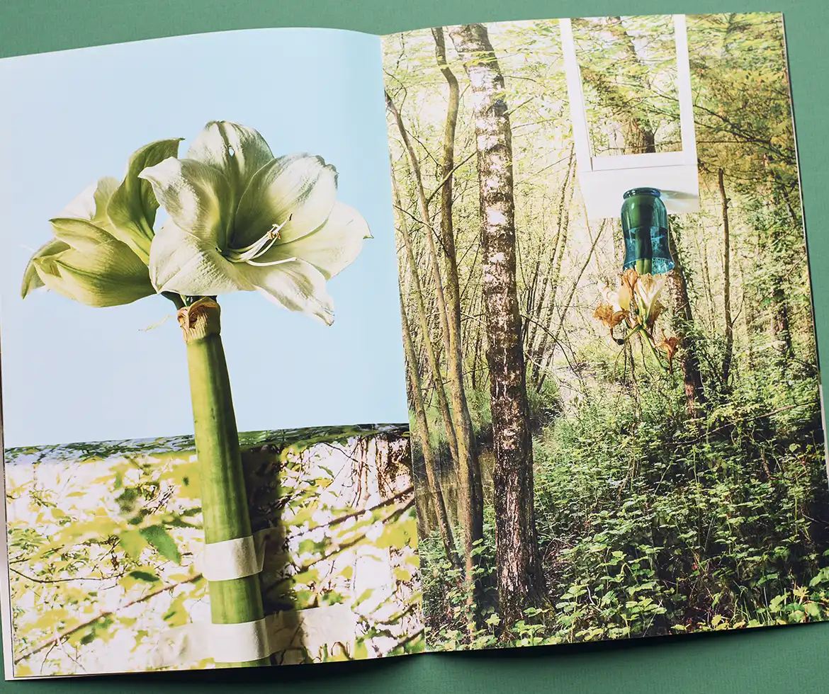 In Search For Nature - Photozine