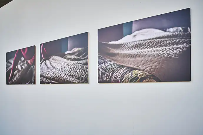 Het gesprek - Expo CCHA