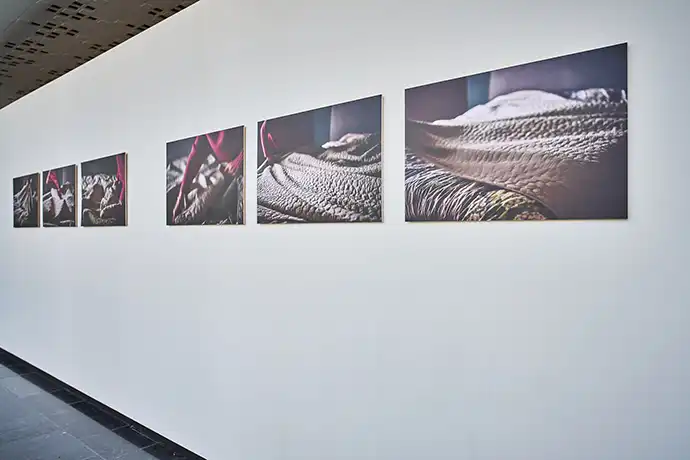 Het gesprek - Expo CCHA