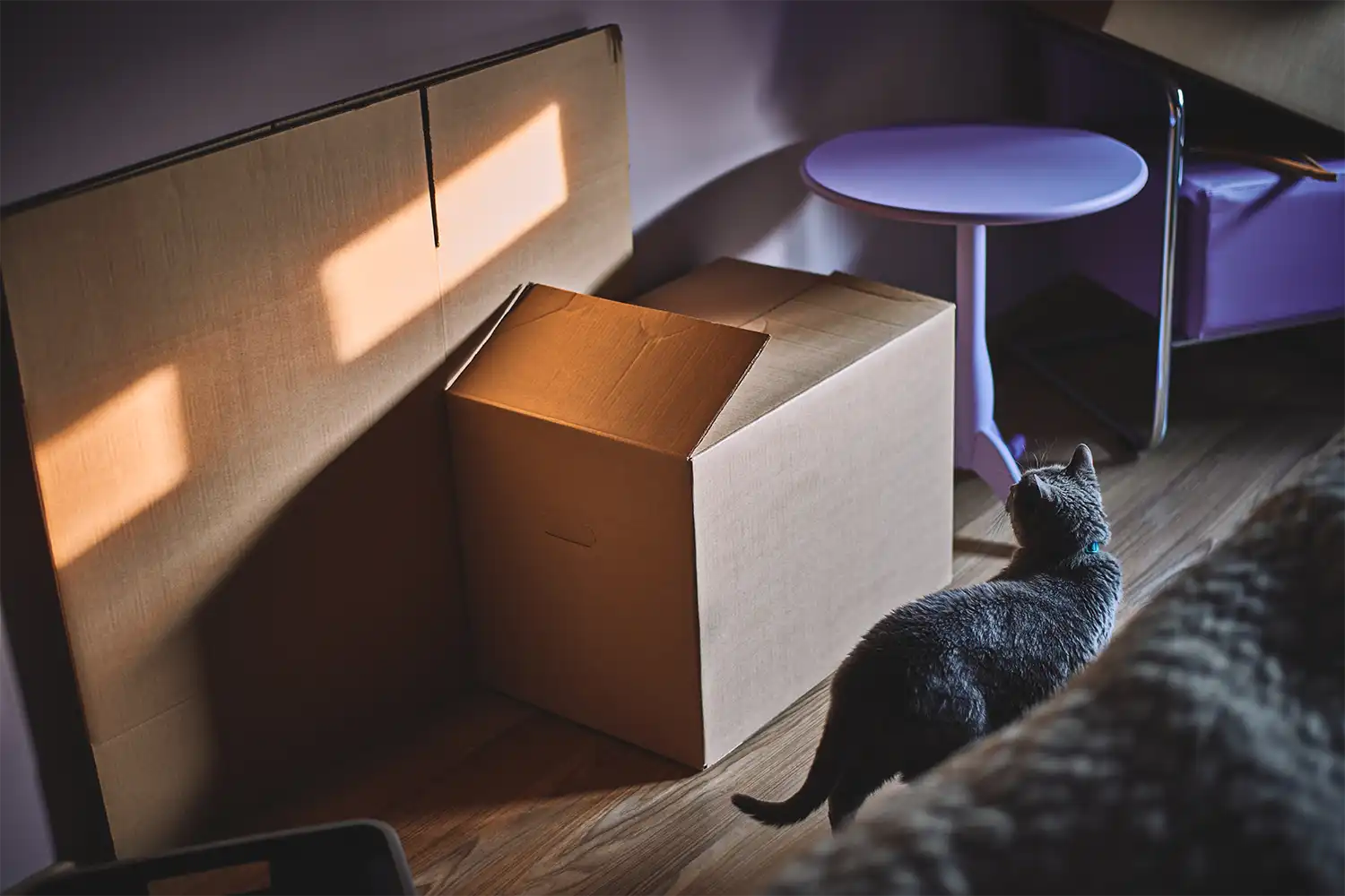 Inner Speech - Photography